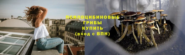прущие крисы Арсеньев