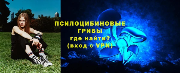 прущие крисы Арсеньев