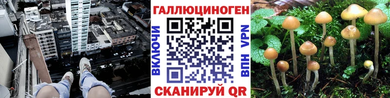 Псилоцибиновые грибы Psilocybine cubensis  Поронайск 